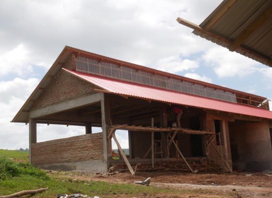 Semaines 14 et 15 : Punda afe mzigo wa bwana ufike